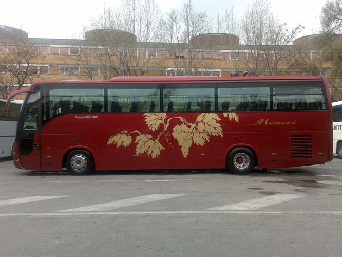 foto di un pullmann dell'Autoservizi Meucci s.r.l.